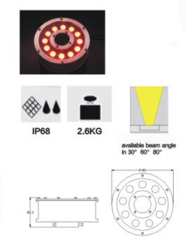 12W LED Fountain Light IP68